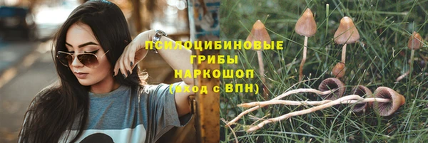 ALPHA PVP Алзамай